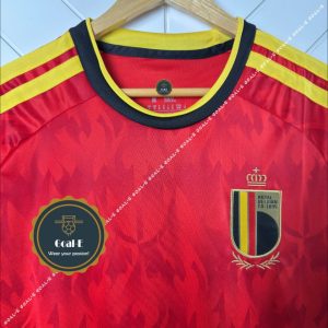 Alternative view of Belgium World Cup Home KIt (Fan Edition)
